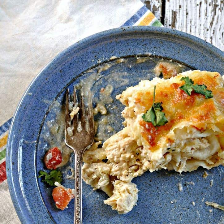 White chicken enchiladas