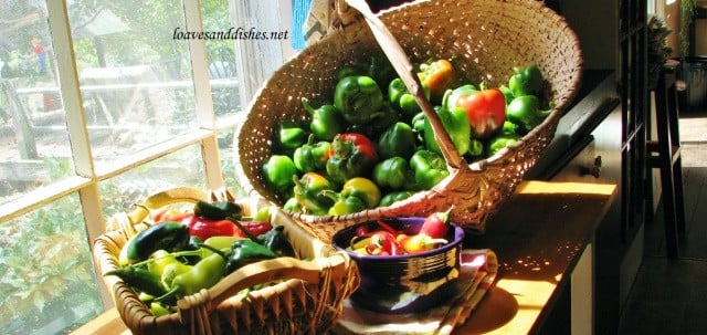 Basket of peppers in the sunshine by a window