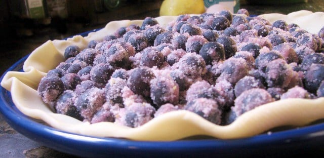 coated blueberries in the raw pie crust for easy blueberry pie