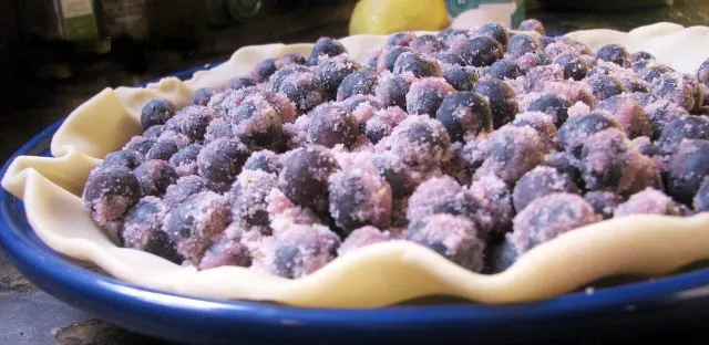 coated blueberries in the raw pie crust for easy blueberry pie