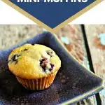 Blueberry Mini-Muffins