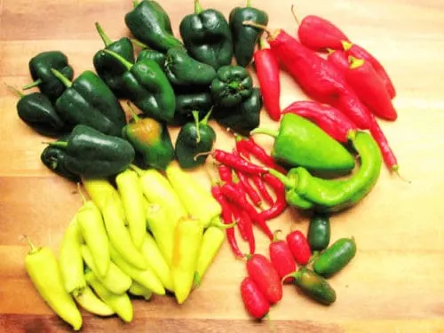 How to Freeze ALL Peppers