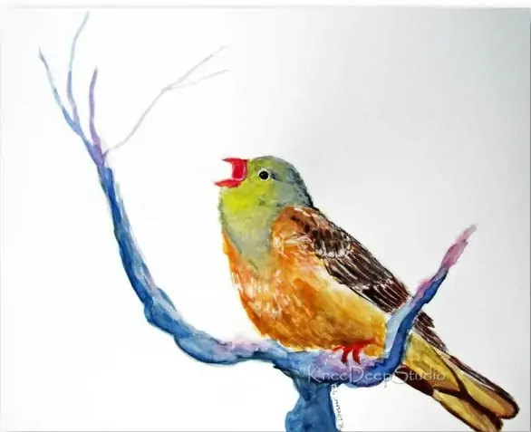 Little Bird with Arugula Caprese Salad