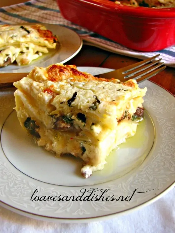 Mushroom Lasagna with white sauce