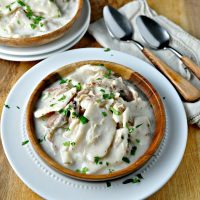 old fashion chicken and dumplins with fresh parsley sprinkled on top