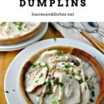 Old Fashioned Chicken and Dumplins