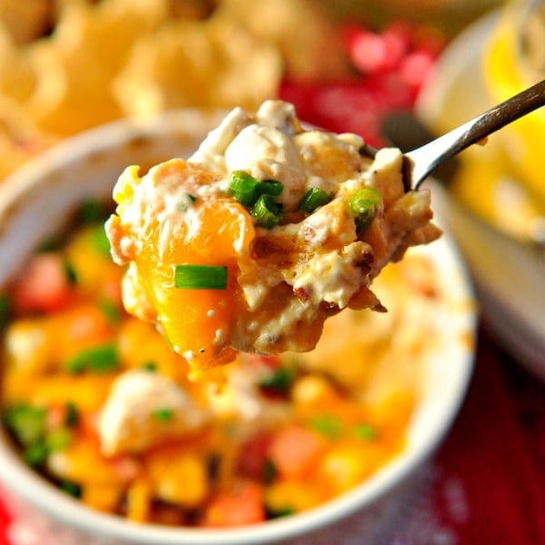 Spoonful of Hot Cheesy Bacon Party Dip