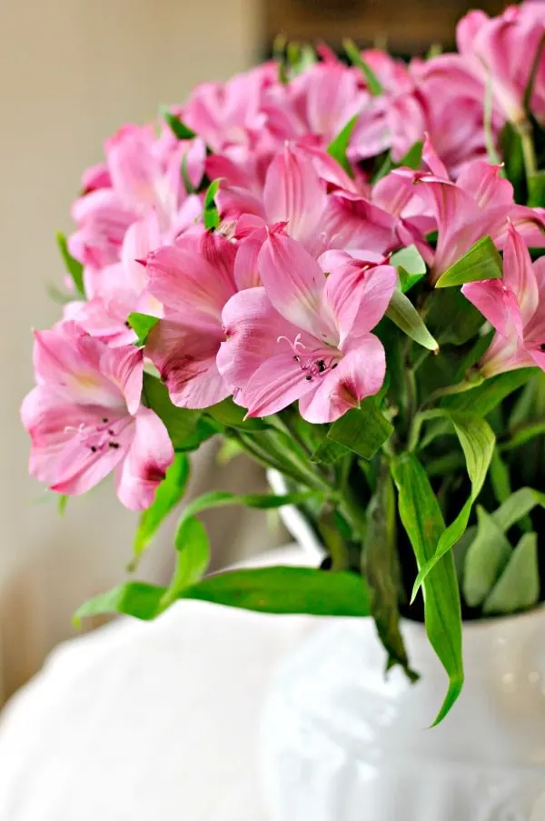 flowers @loavesanddishes.net