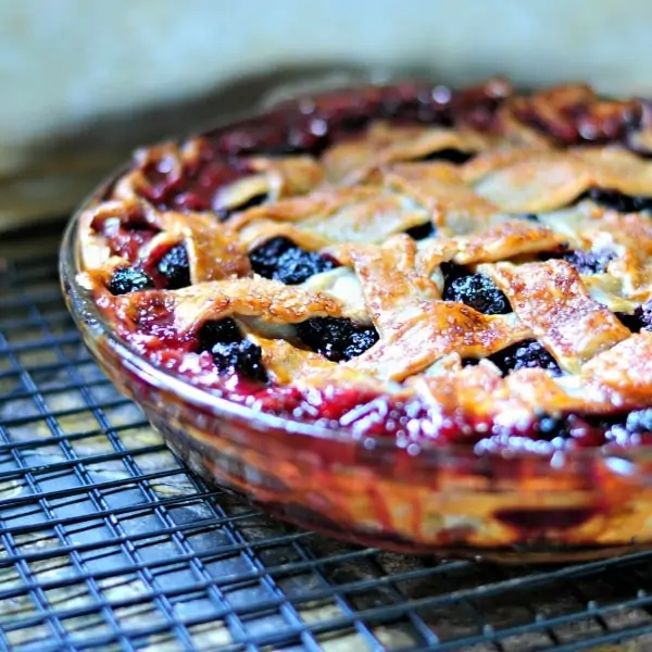 Blackberry Pie Cobbler @loavesanddishes.net