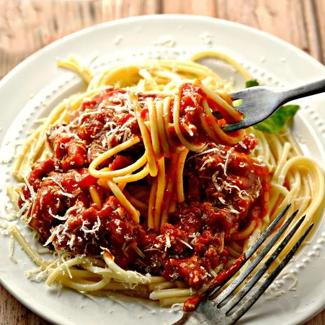 Fork full of spaghetti sauce