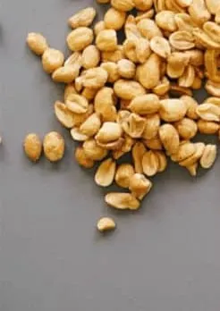 peanuts on a gray background