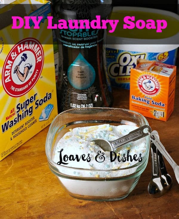 How to make your own TERRIFIC Laundry soap • Loaves and Dishes