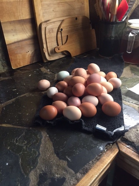 eggs on a towel with cutting boards in background for organization