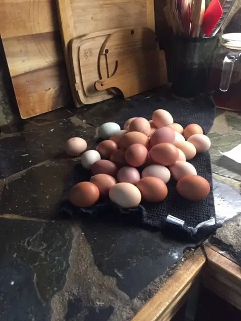 eggs on a towel with cutting boards in background for organization