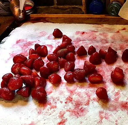 strawberries drying on a paper towel