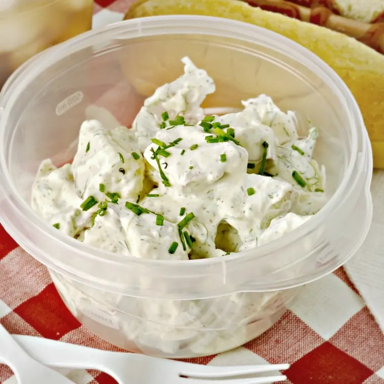 plastic picnic bowl of potato salad