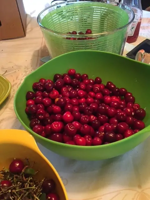 how to make and can cherry pie filling@loavesanddishes.net