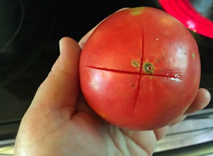 Round red tomato with a large X cut on the bottom