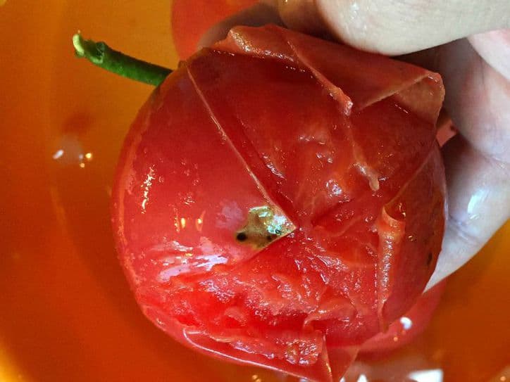 The peel falling off of a tomato