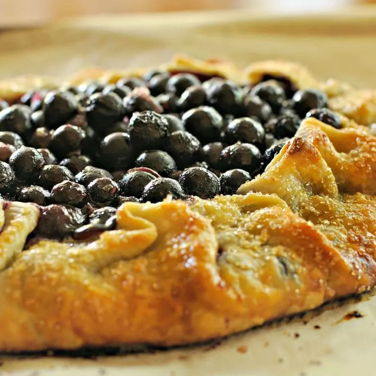 Rustic Blueberry Galette @loavesanddishes.net