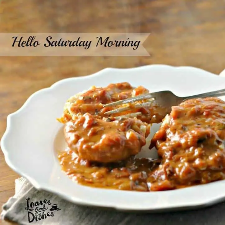 a meme photo of the plate of tomato gravy with a biscuit that says "hello Saturday morning".