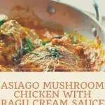 Asiago Mushroom Chicken with Ragu Cream Sauce