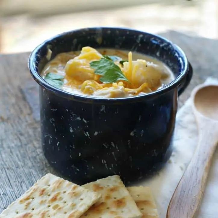 Crockpot Cheesy Potato and Chicken Soup