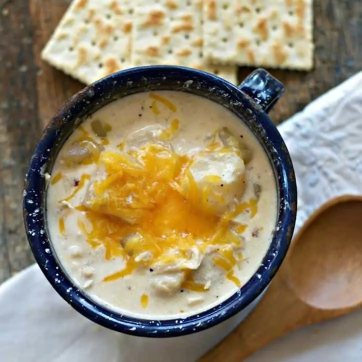 Crockpot Cheesy Potato and Chicken Soup