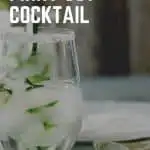 Pinky Out Cocktail