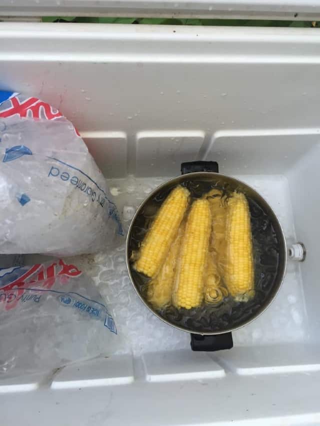 large pot of ice with corn cobs in cooler after being blanched