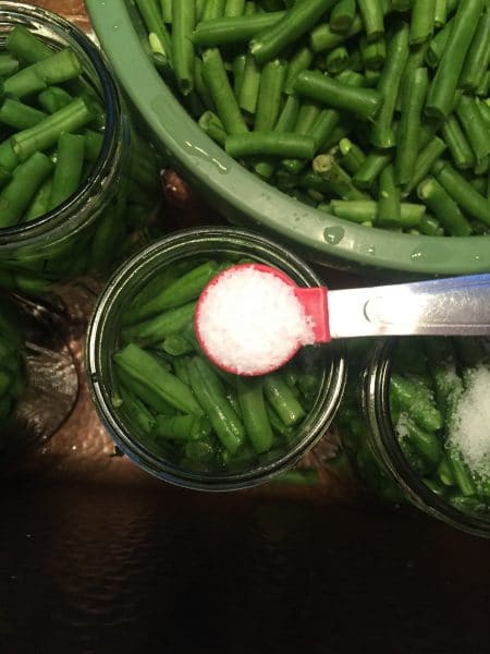 EASY GREEN BEAN CANNING FOR BUSY PEOPLE