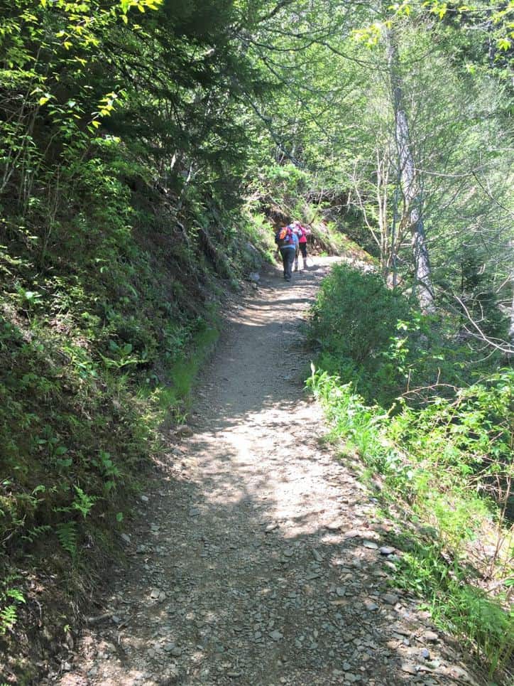 A photo of a tree lined trail with two people hiking off into the distance.