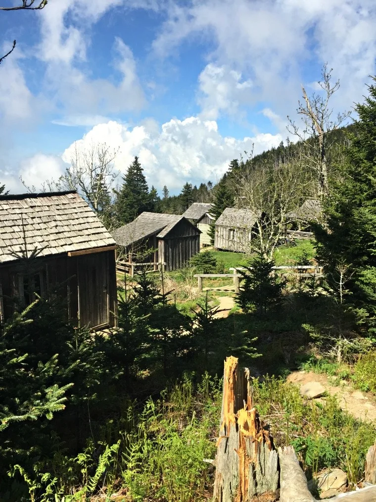 A photo of the small cabins that make up the Mt. Leconte base camp. Beautiful blue skies