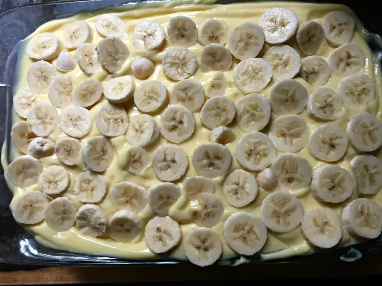 A photo of bananas cut into disk shapes spread out onto the cake with pudding on top of it