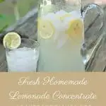 Fresh Homemade Lemonade Concentrate