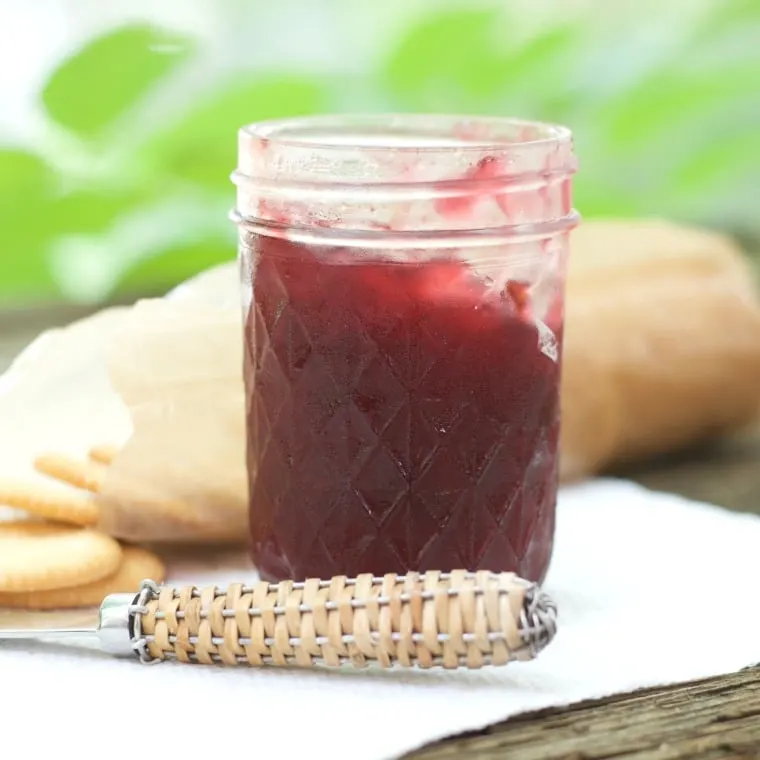 A photo of a cold jar of CARDAMOM PLUM JAM with a pack of crackers