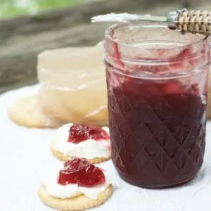 a photo from the side of an open jar of CARDAMOM PLUM JAM with two crackers that have cream cheese and jam on them