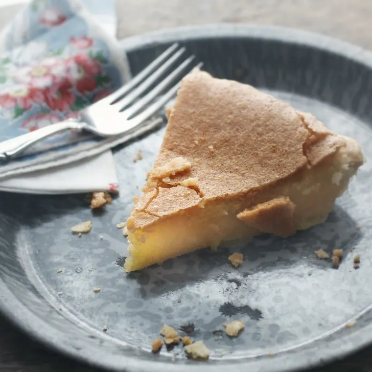 A slice of Pie sitting on a graniteware plate with flowered napkin and fork