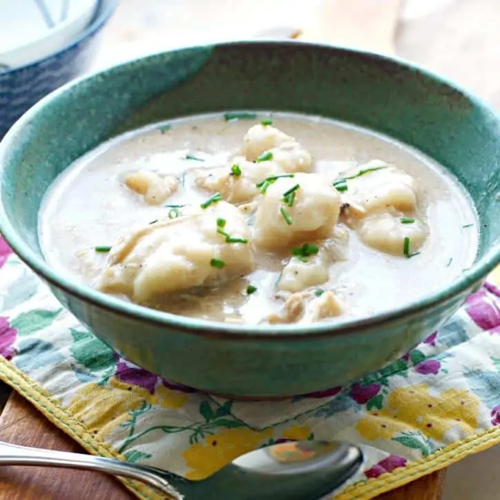 Up close photo of Homemade Chicken and Drop Dumplings with the sun glistening off of the sauce