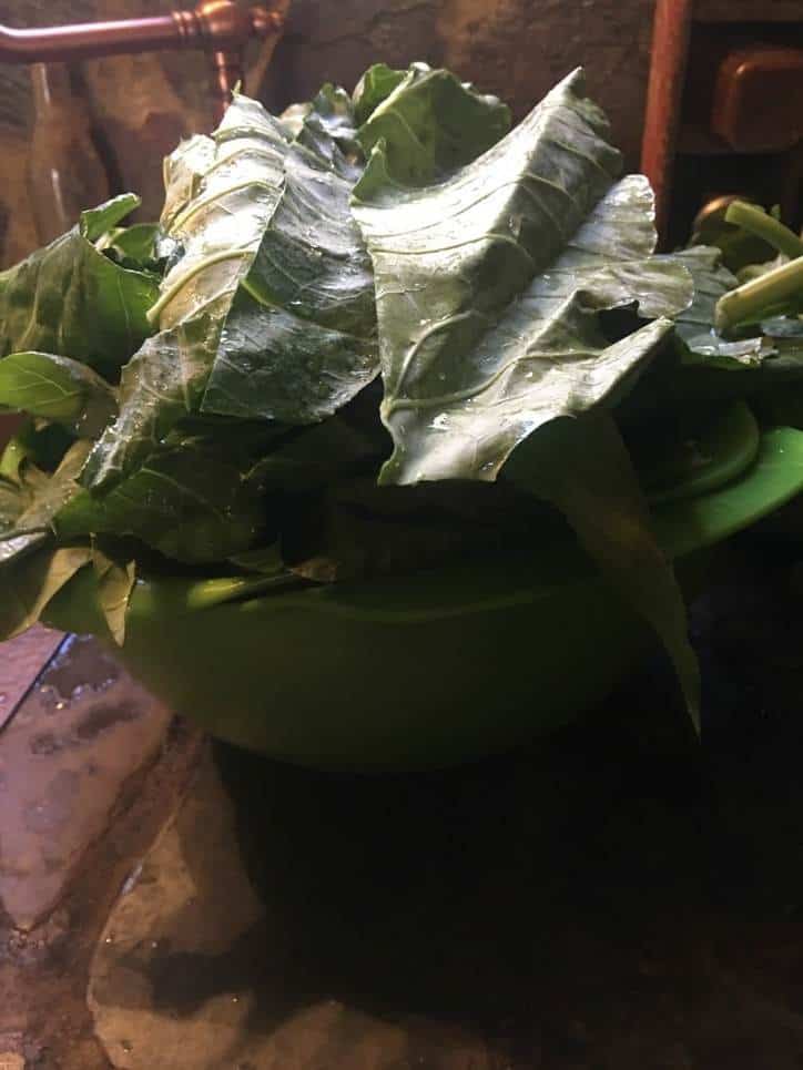 The trimmed leaves in the colander, draining, waiting for another bath