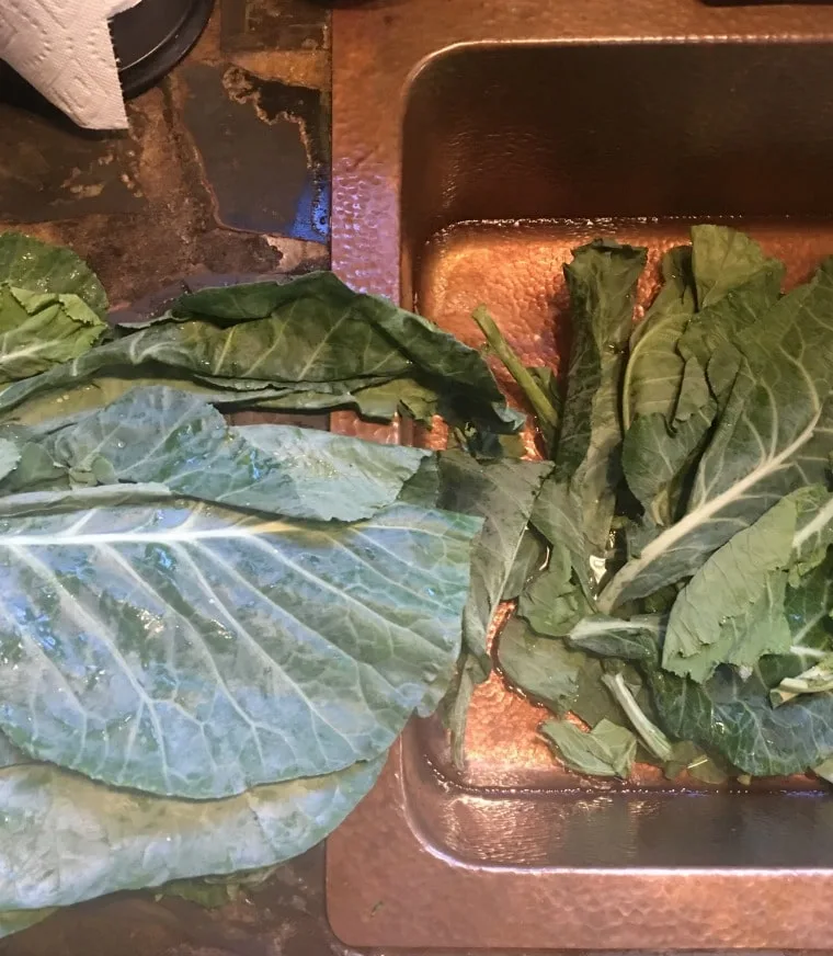 A photo ofThe first wash for the collard greens - going in the bath with the vinegar