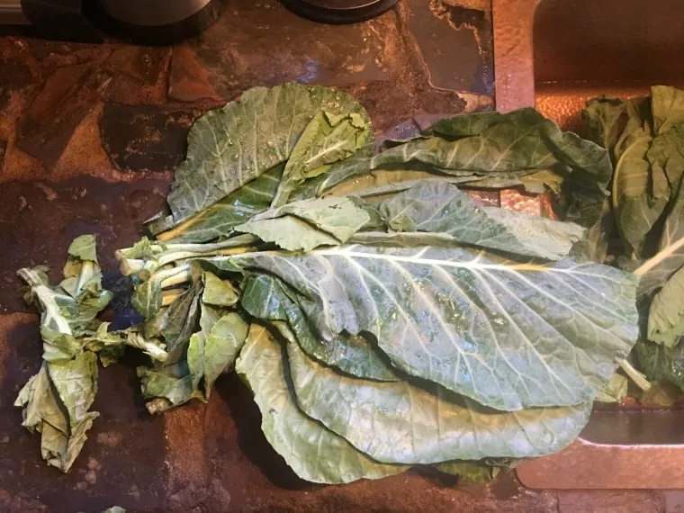 The collards sitting beside the sink with some of the bad leaves removed (to the left)