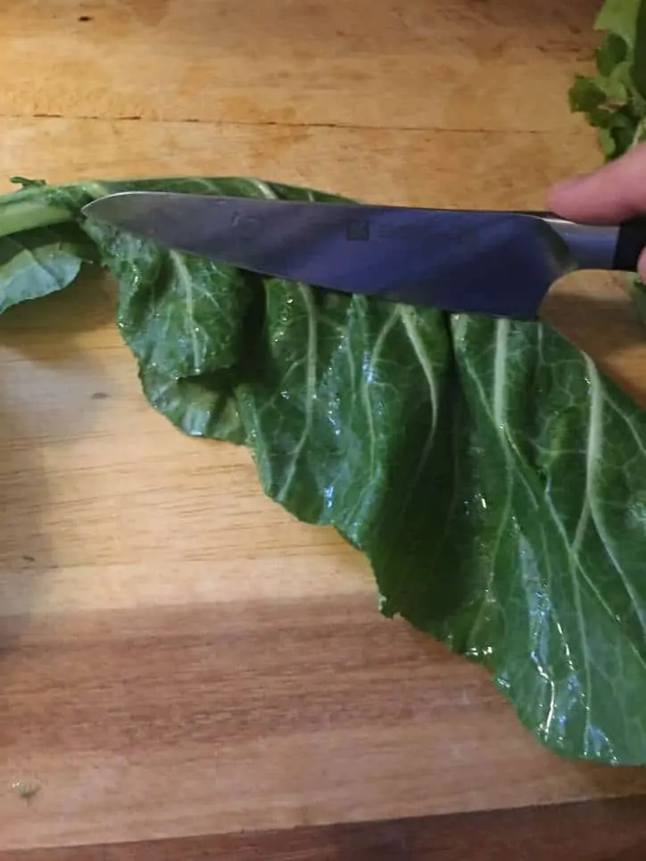 Showing the technique for cutting the stem out of the leaf.