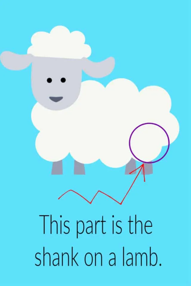 Infographic Drawing of a lamb on blue background with an arrow pointing to the shank which is circled