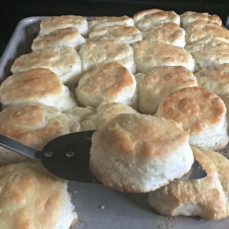 A photo of the biscuits being scooped from the pan for Southern Buttermilk Biscuits THE SECRET TO PERFECT SOUTHERN BISCUITS