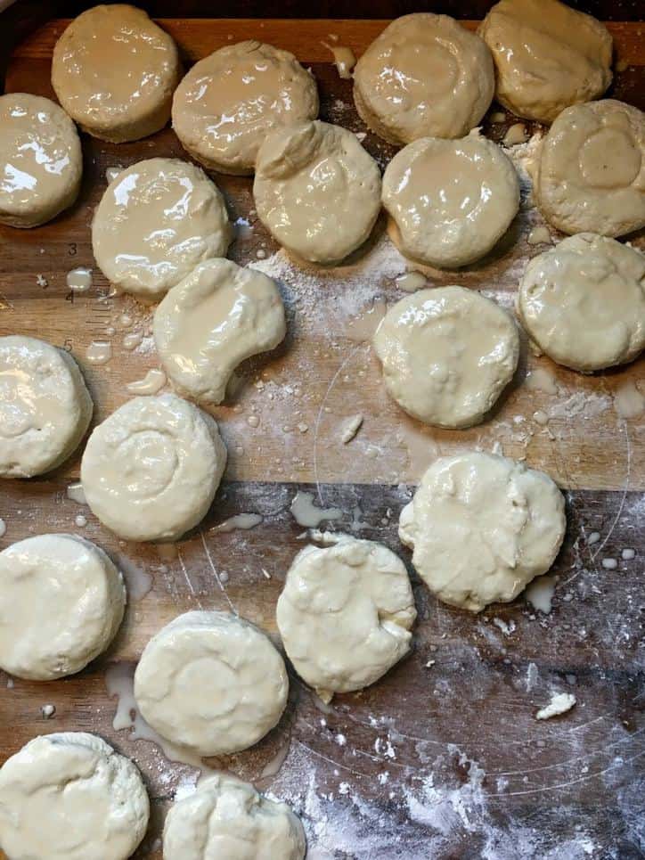 A photo of the cut biscuits painted with evaporated milk for Southern Buttermilk Biscuits