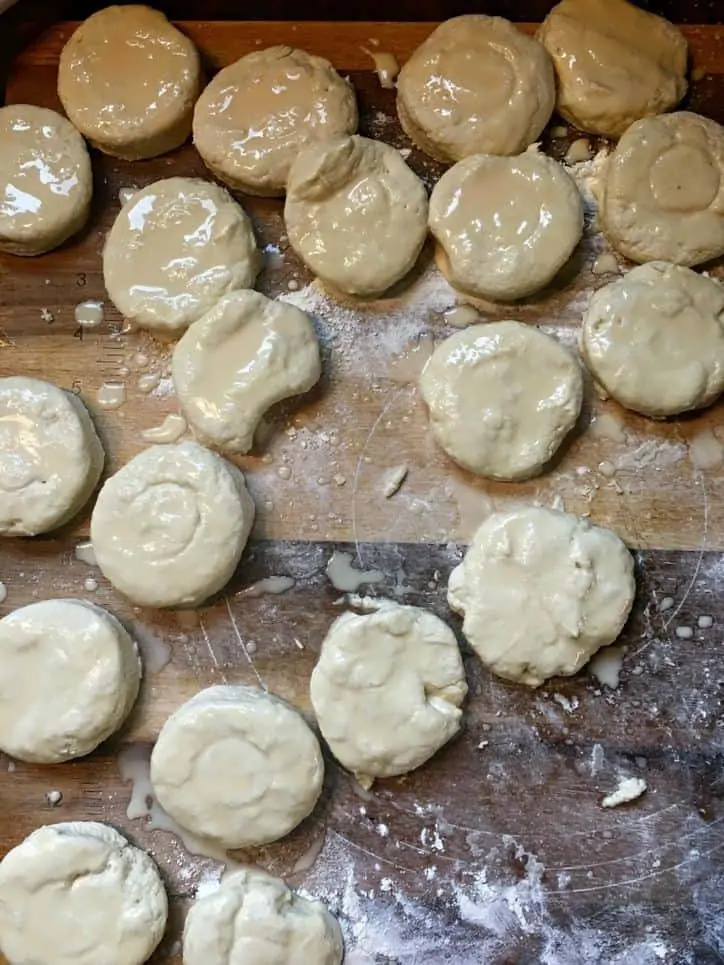 A photo of the cut biscuits painted with evaporated milk for Southern Buttermilk Biscuits