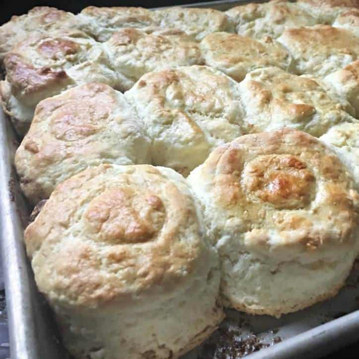 A close up photo of the fresh Southern Buttermilk Biscuits out of the oven 