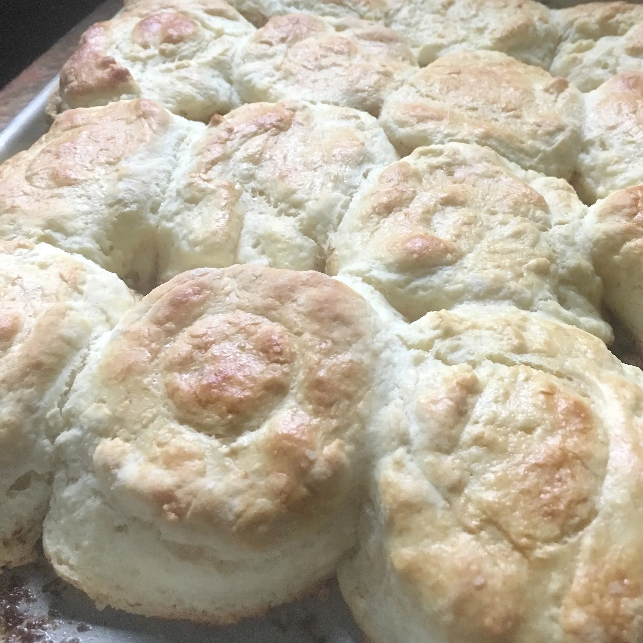 THE SECRET TO PERFECT SOUTHERN BISCUITS close up photo from the side