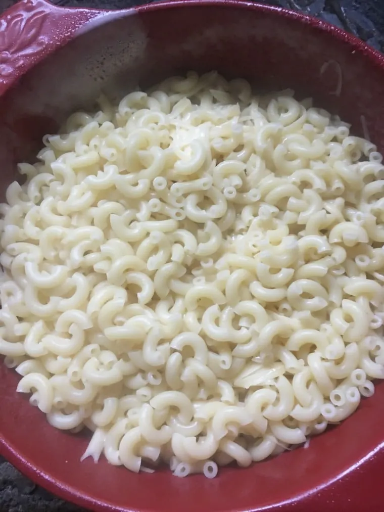An image of macaroni noodles in the bottom of a casserole dish for easy baked macaroni and cheese